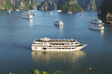 Starlight cruise overview