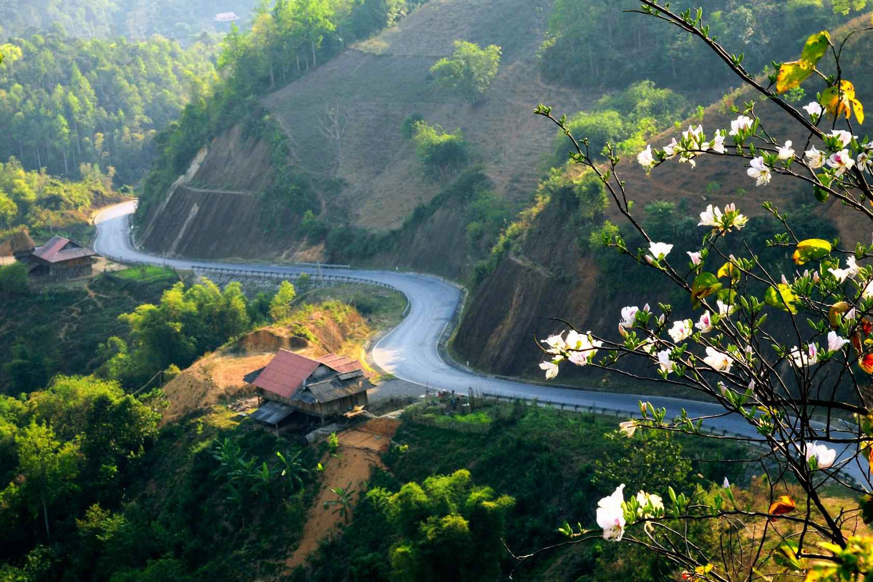 Dien-Bien-Phu